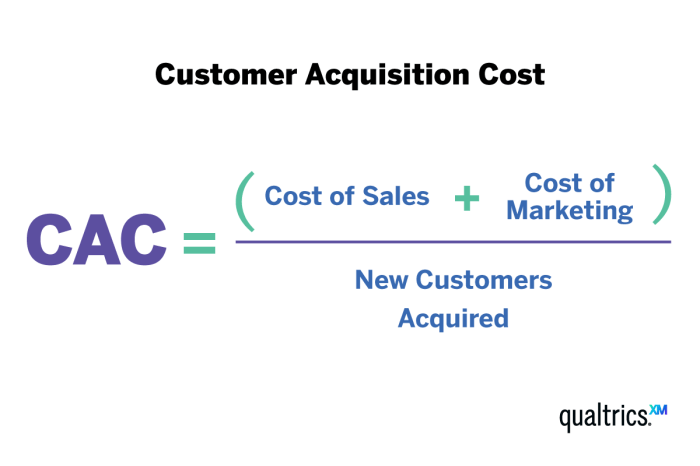 Customer Acquisition Cost