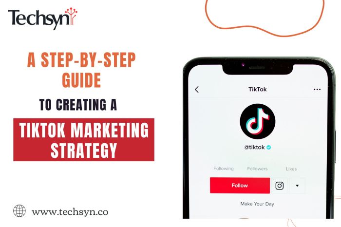 Building a Strategy for TikTok