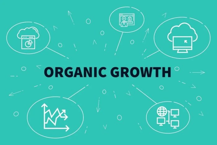 Understanding Organic Growth