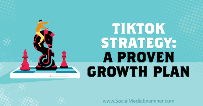 Building a Strategy for TikTok