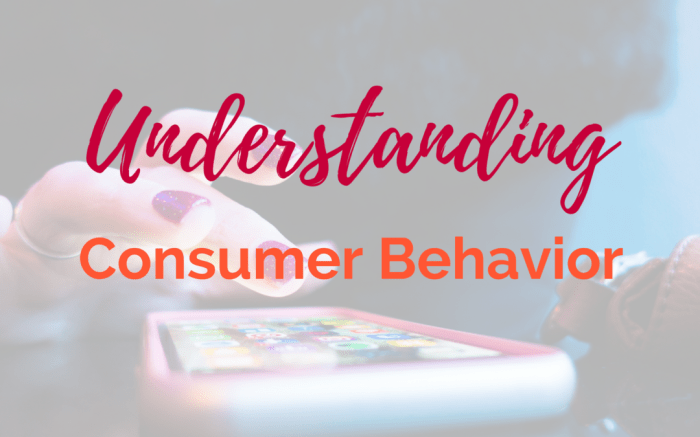 Understanding Consumer Behavior